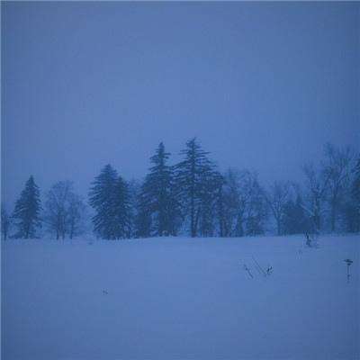 斯柯达将退出中国市场