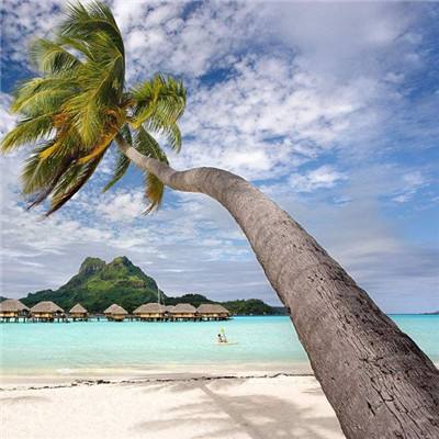 高盛连发报告聚焦能源市场 预测高油价或长期维持